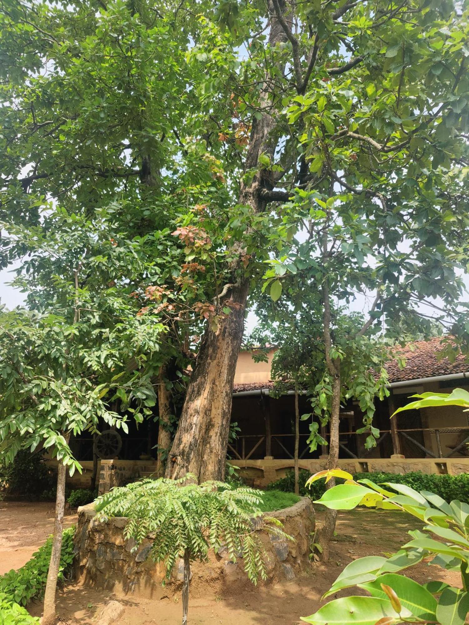 Surwahi Social Ecoestate Kānha Exterior photo
